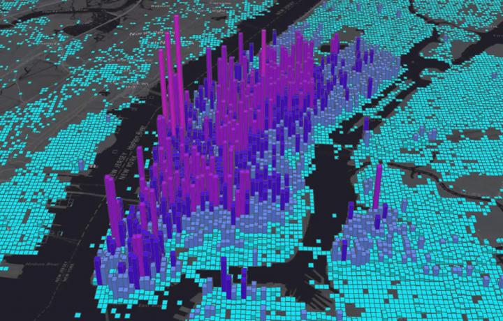 spatial scale